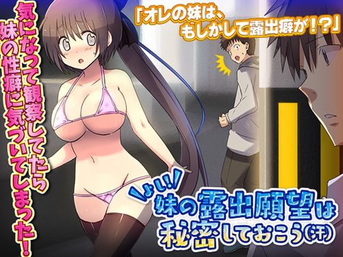(同人ゲーム)[230702][REP!] よし!妹の露出願望は秘密しておこう(汗) [RJ01072736]