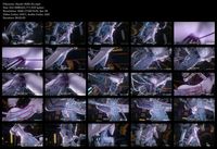 Free Image Hosting