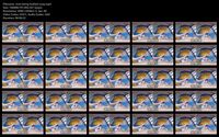 Free Image Hosting