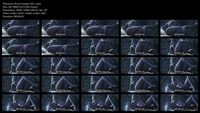 Free Image Hosting
