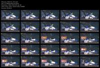Free Image Hosting
