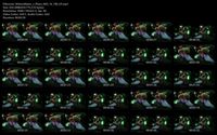 Free Image Hosting