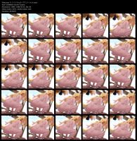 Free Image Hosting