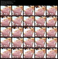 Free Image Hosting