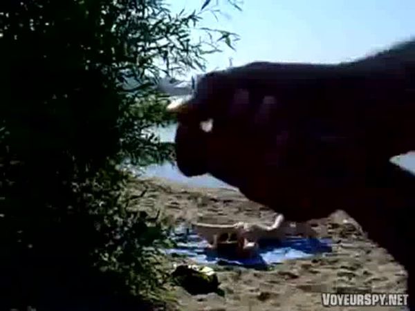 Cumongirlspublic Cumming For Young Stranger Girl On The Beach Aadvva